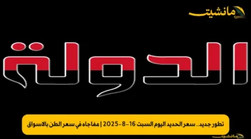 تطور جديد.. سعر الحديد اليوم السبت 16 8 2025 مفاجأة في سعر الطن بالأسواق 1